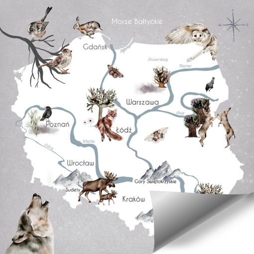 Tapeta - mapa Polski i zwierzęta