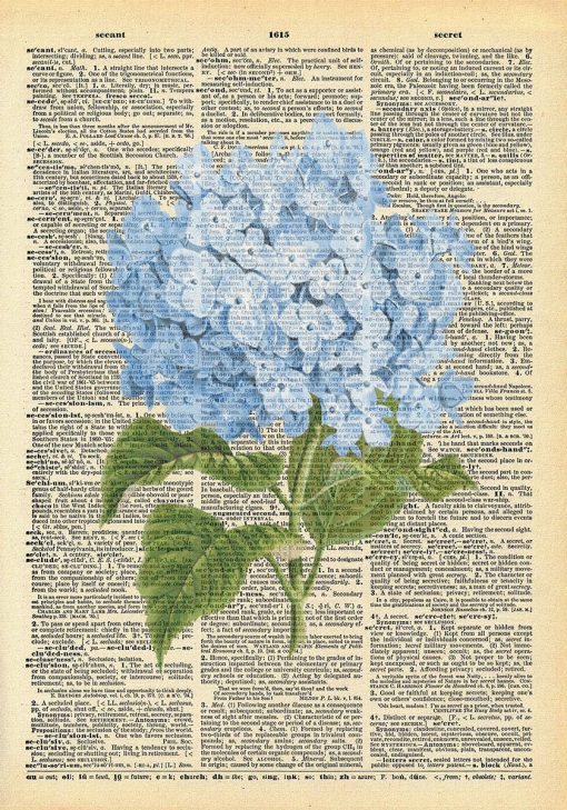 Plakat z niebieską hortensją i kartką z encyklopedii