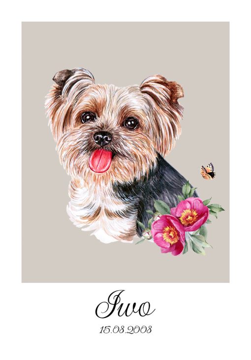 Plakat z portretem yorkshire terrier