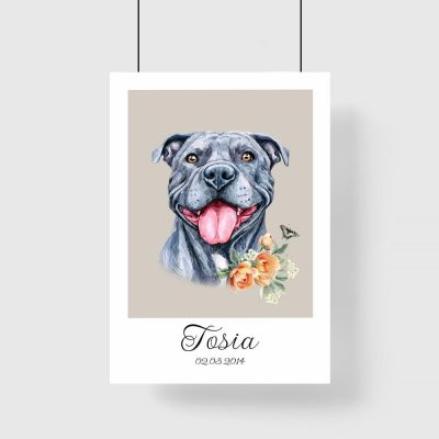 Plakat z Tosią - pitbull