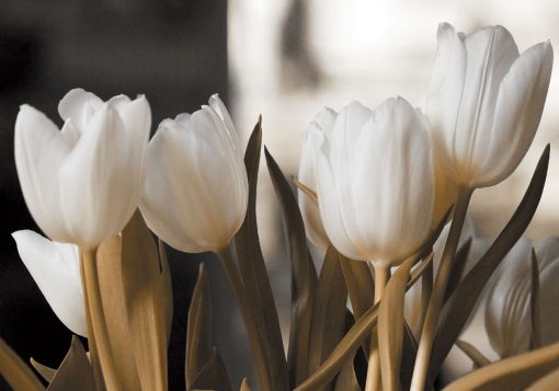Obraz z bukietem tulipanów
