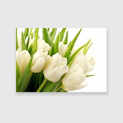 obraz z motywem tulipanów