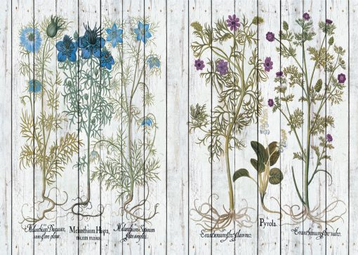 Plakat dyptyk z niebieskimi kwiatami