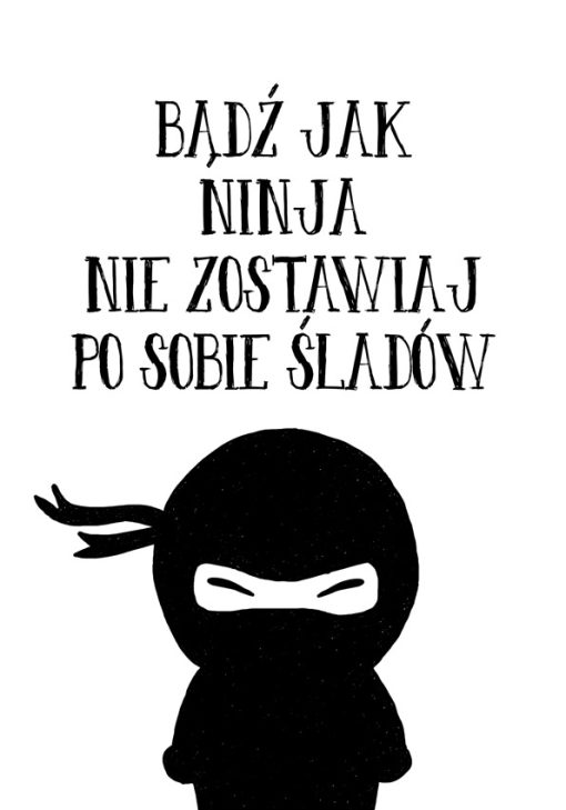 Plakat - Ninja
