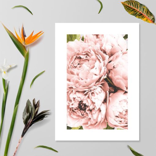 plakat z różowymi kwiatami